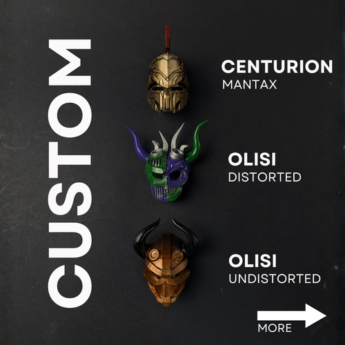 Custom Masks (2 color)